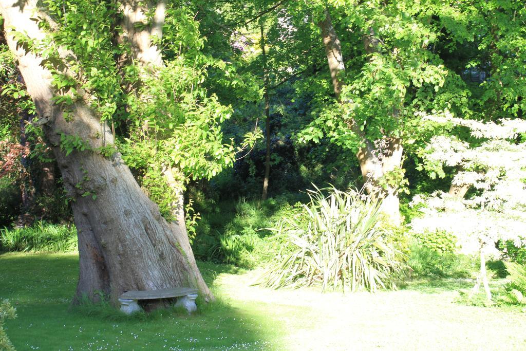 Hotel The Woodlands Ilfracombe Esterno foto